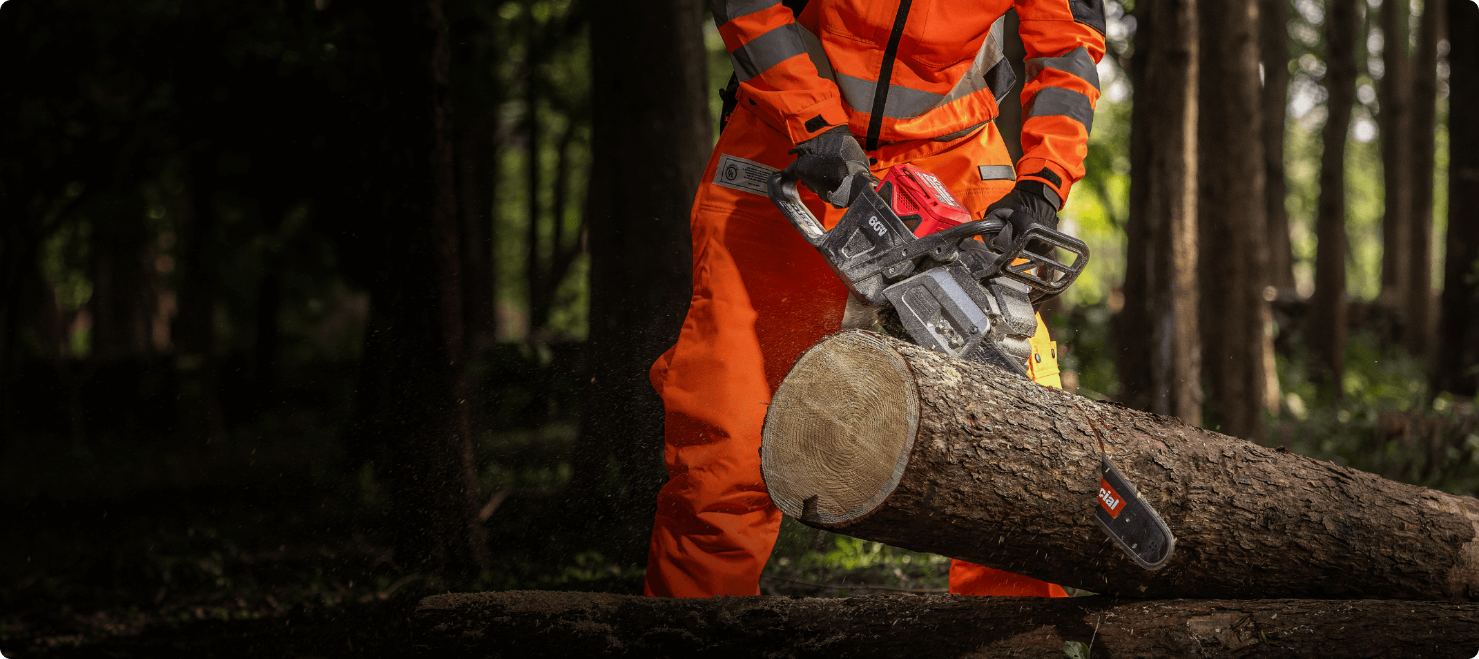 Gros plan sur une tronçonneuse Kress KC340.9 tronçonnant un gros tronc